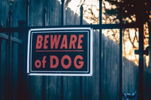 Blog beware of dog sign, concept of Fairburn pit bull attack