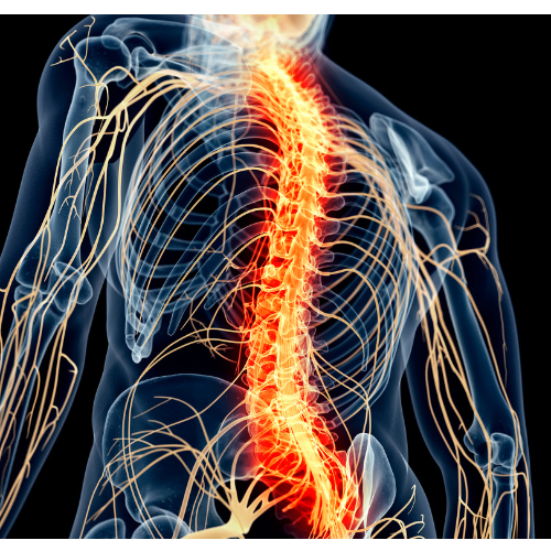 spinal-cord-injury-lawyer